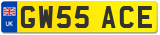 GW55 ACE