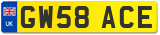 GW58 ACE