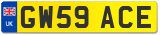 GW59 ACE