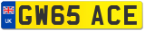 GW65 ACE