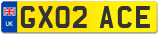 GX02 ACE