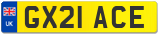 GX21 ACE