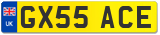 GX55 ACE