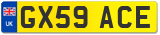 GX59 ACE