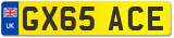 GX65 ACE