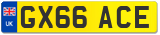 GX66 ACE