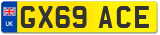 GX69 ACE