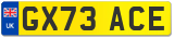 GX73 ACE