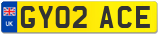 GY02 ACE