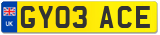 GY03 ACE