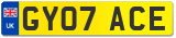 GY07 ACE