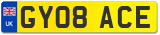 GY08 ACE
