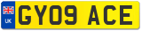 GY09 ACE