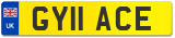 GY11 ACE