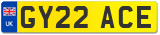 GY22 ACE