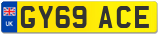 GY69 ACE