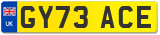 GY73 ACE