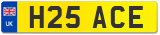H25 ACE