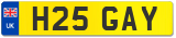 H25 GAY