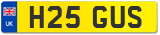 H25 GUS