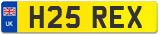 H25 REX