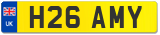 H26 AMY