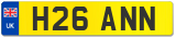 H26 ANN