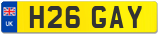 H26 GAY