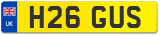 H26 GUS
