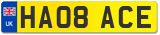 HA08 ACE