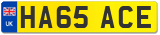 HA65 ACE