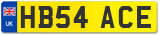 HB54 ACE