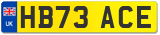HB73 ACE