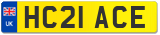 HC21 ACE