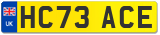 HC73 ACE