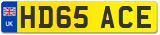 HD65 ACE