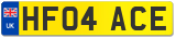 HF04 ACE