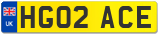 HG02 ACE
