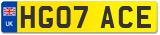 HG07 ACE