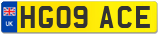 HG09 ACE