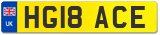 HG18 ACE