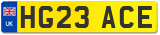 HG23 ACE