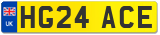HG24 ACE