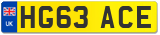 HG63 ACE