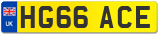 HG66 ACE