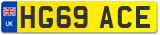HG69 ACE
