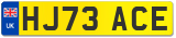 HJ73 ACE