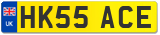 HK55 ACE