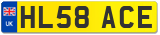 HL58 ACE