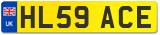 HL59 ACE